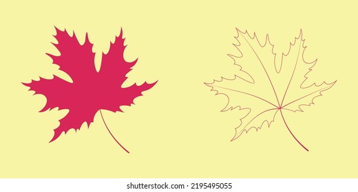 maple leaf on a white background. vector illustration