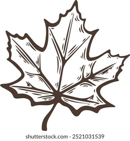 Maple leaf  one