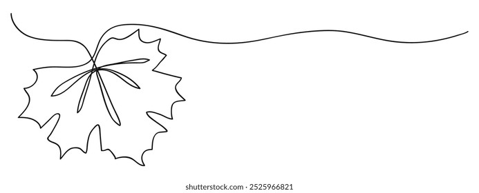 Maple leaf one line hand drawing isolated on white background.Vector illustration