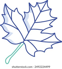 Maple Leaf outline color vector illustration