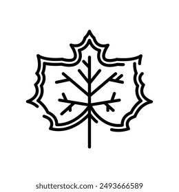 Maple Leaf Outline Icon, Vector illustration