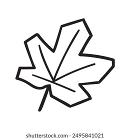 Maple leaf outline icon. Vector illustration on white background.