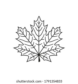 Maple leaf outline. Maple leaf in line art style isolated on white background.
