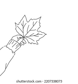 maple leaf outline vector illustration in hand