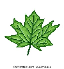 Maple leaf pixel art. Vector illustration.
