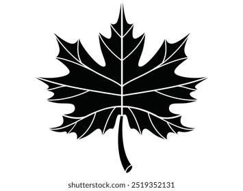 Maple leaf plant element - silhouette vector image for stencil, sign or logo. Maple tree leaf icon or pictogram.