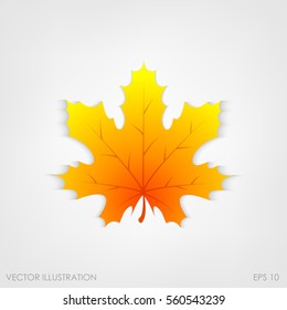 Maple leaf in a realistic style on a white background, isolated object. Vector illustration, botanical element of autumn dry leaf for your projects.