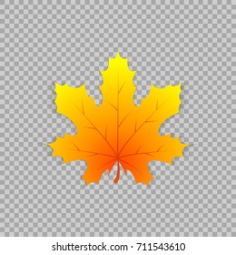 Maple leaf in a realistic style on transparent background, isolated object. Vector illustration