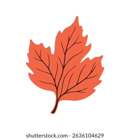 Maple leaf, Red Leaf, autumn leaf Silhouette and outline leaf veins, Details Vector illustration.