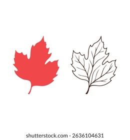 Maple leaf, Red Leaf, autumn leaf Silhouette and outline leaf veins, Details Vector illustration.
