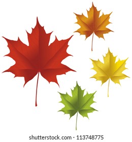 A Maple Leaf In Red, Yellow, Orange, And Green Colors.