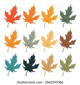 Hoja de arce de rojo, amarillo y otros colores sobre un fondo blanco. Fondo otoñal con un conjunto de hojas para imprimir y decoración de tarjetas de felicitación, banners. Ilustración de diseño de vectores.