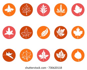 maple leaf round button icons