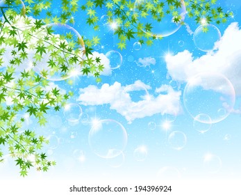 Maple leaf scenery