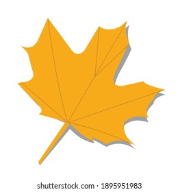maple leaf with shadow vector design