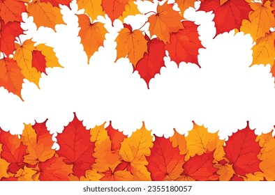 Maple leaf shrubby plants symbol of autumn a culture, white background