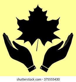 Maple leaf sign. Flat style icon vector illustration.