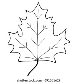 Maple leaf sign. Monochrome plane icon isolated on white background. Mono nature logo. Botany wood or garden symbol. Ecology flat silhouette. Foliage mark. Stock vector illustration