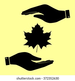 Maple leaf sign. Save or protect symbol by hands.