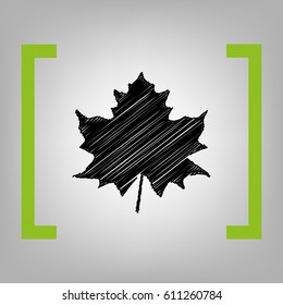 Maple leaf sign. Vector. Black scribble icon in citron brackets on grayish background.