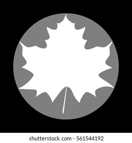 Maple leaf sign. White icon in gray circle at black background. Circumscribed circle. Circumcircle.