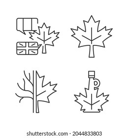 Maple leaf significance linear icons set  National emblem Canada  Maple leaf symbol  Customizable thin line contour symbols  Isolated vector outline illustrations  Editable stroke
