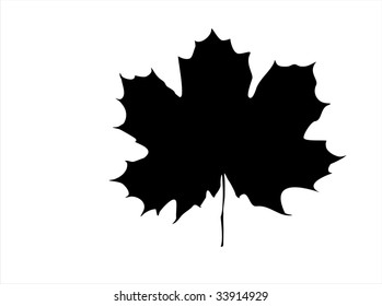 maple leaf silhouette