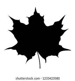 Maple leaf silhouette icon black color