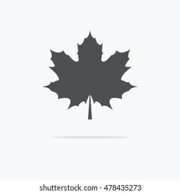 Maple Leaf. Silhouette of the maple leaf. Icon of a maple leaf. Vector illustration.