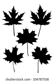 Maple Leaf Silhouette - illustration