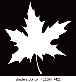 Maple leaf silhouette in on black background. Laconic and stylish illustration. Monochrome vector