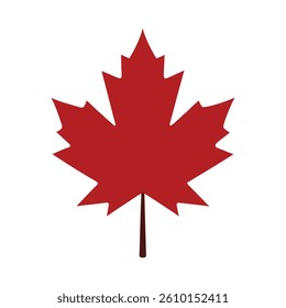 Maple leaf silhouette on white background