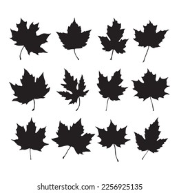 Maple leaf silhouette, stencil templates set, objects for cutting programs svg
