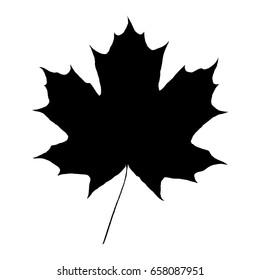 Maple Leaf. Silhouette. Vector.