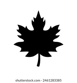 Maple leaf Silhouette Vector Art isolated on white background
