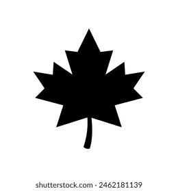 Maple leaf Silhouette Vector Art isolated on white background
