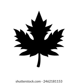 Maple leaf Silhouette Vector Art isolated on white background
