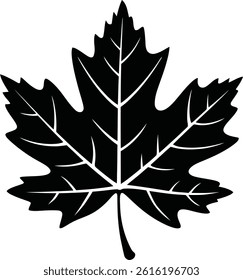 Maple Leaf Silhouette Vector – Autumn Nature Botanical Icon