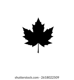 Maple Leaf   silhouette vector flat illustration design.