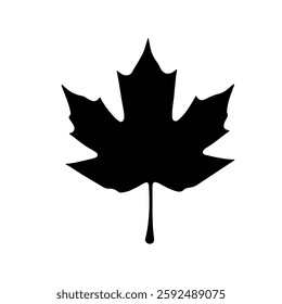Maple Leaf silhouette vector icon sign symbol illustration design.
