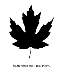 Silhouette de hojas de arce. Ilustración vectorial. Elemento de diseño aislado en fondo blanco.