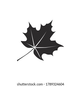 Maple leaf silhouette vector on a white background