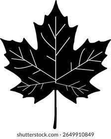 Maple Leaf Silhouette with Veins Autumn Icon Vector