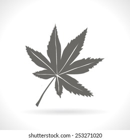 Maple Leaf Silhouette for your design. vector illustration.