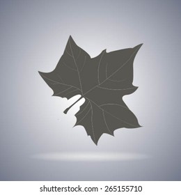 Maple Leaf Silhouette for your design. vector illustration.