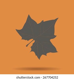 Maple Leaf Silhouette for your design. vector illustration.