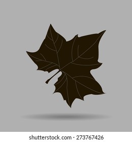 Maple Leaf Silhouette for your design. vector illustration.