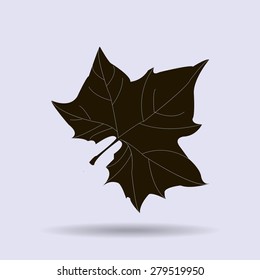 Maple Leaf Silhouette for your design. vector illustration.