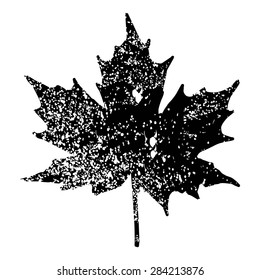Maple Leaf Silhouette for your design. EPS10 vector illustration.
