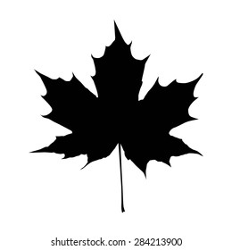 Maple Leaf Silhouette for your design. EPS10 vector illustration.